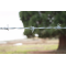 Barbed wire | thickness 2.5 mm